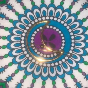 Crescent Moon Hair Barrette